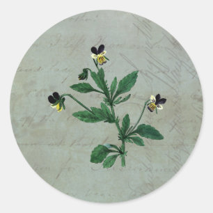 Sticker Rond Vert gris avec Violas botaniques