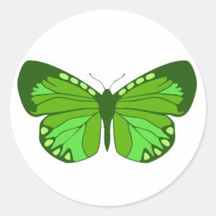 Sticker Rond Verts de papillon