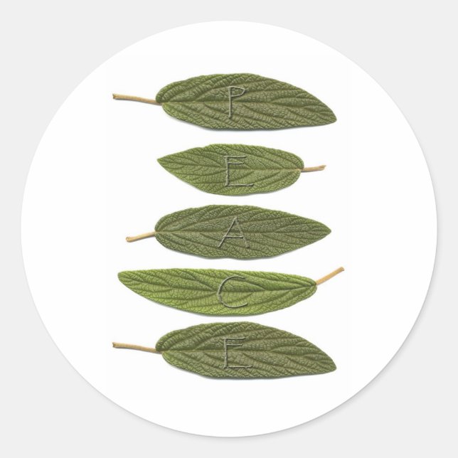 Sticker Rond VIBIRNUM LA PAIX feuille (Devant)