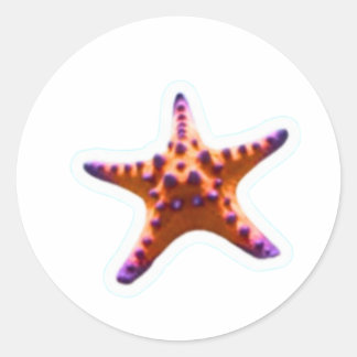 Sticker Rond Vibrant Ocean Starfish - Coastal Beach Vibe Sticke