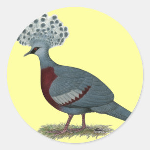 Sticker Rond Victoria Crowne Pigeon