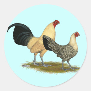 Sticker Rond Vieilles renoncules crèmes anglaises