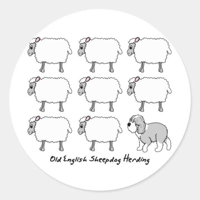 Sticker Rond Vieux anglais Sheepdog Herding Sheep (Devant)
