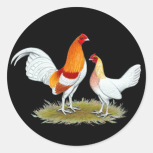 Sticker Rond Vieux coq nain anglais de jeu :  Pyle rouge