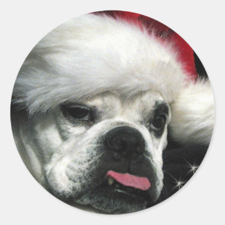 Sticker Rond Vieux Noël de Bulldog anglais