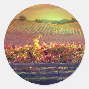 Sticker Rond Vignoble