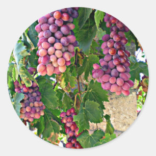 Sticker Rond Vin de raisin