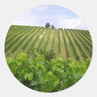 Sticker Rond Vineyard - Vignoble (Bordeaux - France) 02