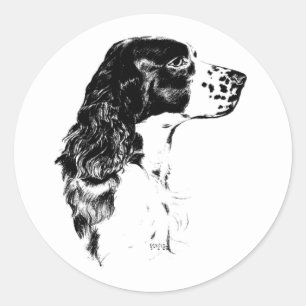 Sticker Rond Vintage Art Anglais Springer Spaniel Chien 