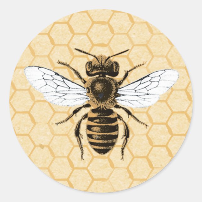 Sticker Rond Vintage Bee sur Honeypeb (Devant)