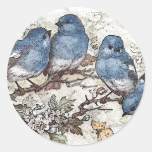 Sticker Rond Vintage bluebird illustration oiseaux mignons natu