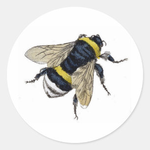 Sticker Rond Vintage Bumble Bee
