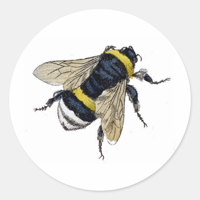 Sticker Rond Vintage Bumble Bee (Devant)