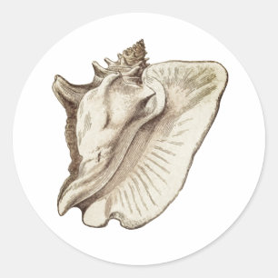 Sticker Rond vintage conch sépia classique collant rond