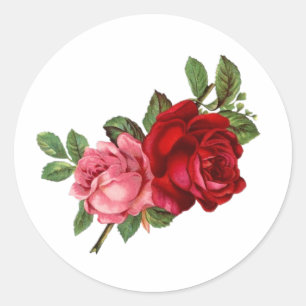 Sticker Rond Vintage élégant rose rose rouge