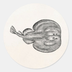 Sticker Rond Vintage Rayon électrique Stringray Modèle Blank