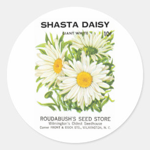 Sticker Rond Vintage Seed Packet Art, Shasta Daisy Flowers