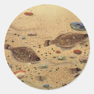 Sticker Rond Vintages, Marine Ocean Life Poisson plat
