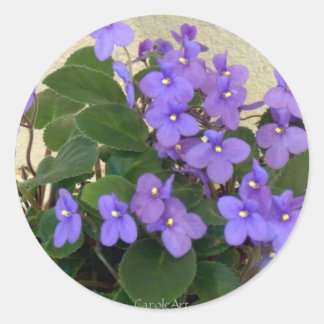 Sticker Rond Violettes bleues bleues bleues