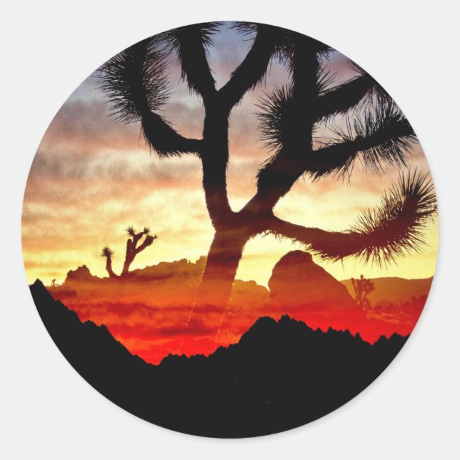 Sticker Rond vision cactus (Devant)