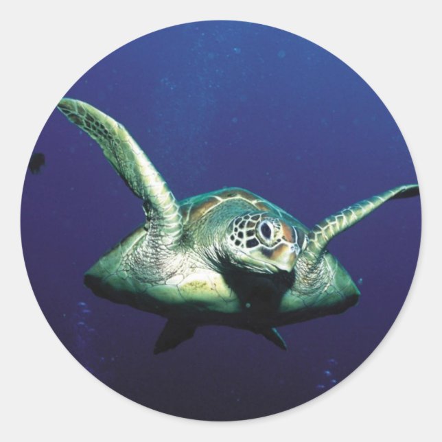 Sticker Rond Vol sous-marin (Devant)
