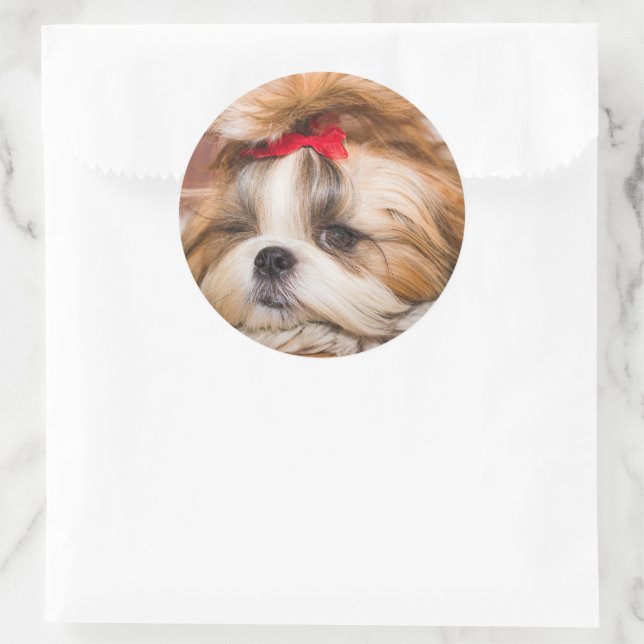 Sticker Rond Votre chiot chien animal de compagnie photo person (Sac)