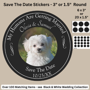 Sticker Rond Votre photo d'animal de compagnie, Sauvegarder la