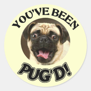 STICKER ROND VOUS AVEZ ÉTÉ PUG'D ! - CHIEN DRÔLE DE CARLIN