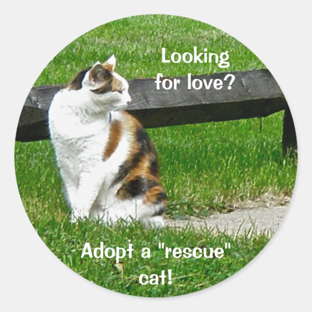 Sticker Rond Vous cherchez l'amour ? Adoptez un chat "secourt"  (Devant)