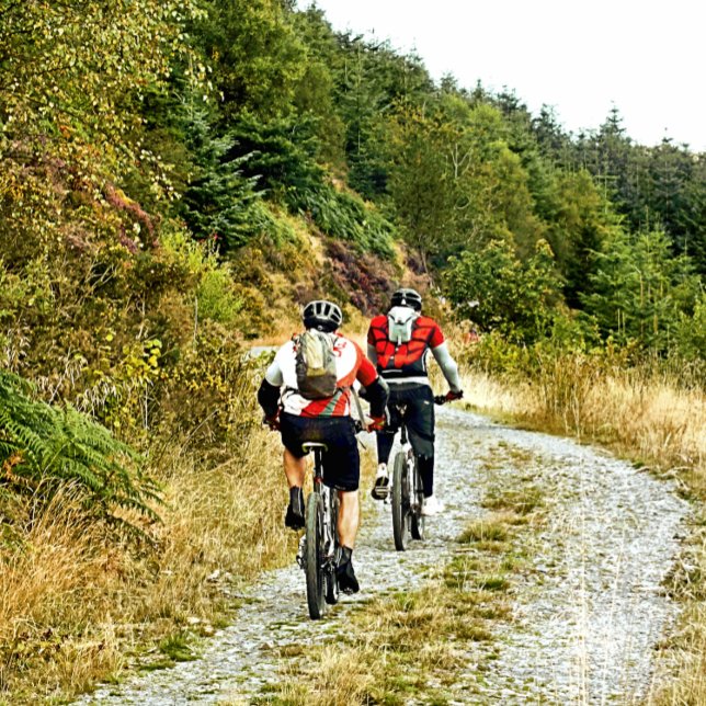 STICKER ROND VTT (Créateur téléchargé)