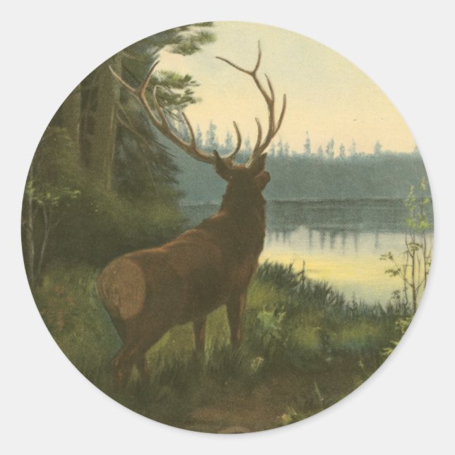 Sticker Rond Vue arrière du lac Elk Vue sur un lac (Devant)