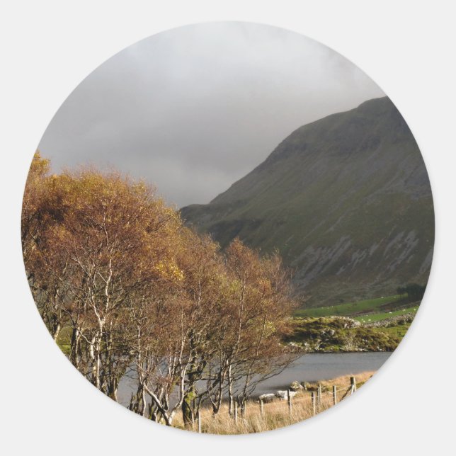 STICKER ROND VUES DES ALLES (Devant)