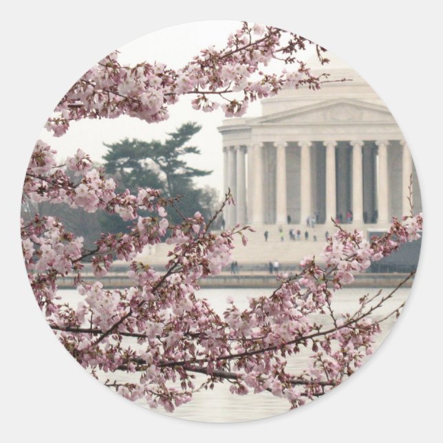 Sticker Rond Washington DC de fleurs de cerisier (Devant)