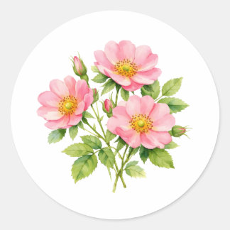 Sticker Rond Watercolor Wild Pink Roses 