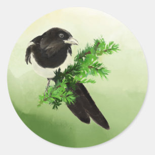 Sticker Rond Watercolor Wildlife Magpie Oiseau Art de la nature