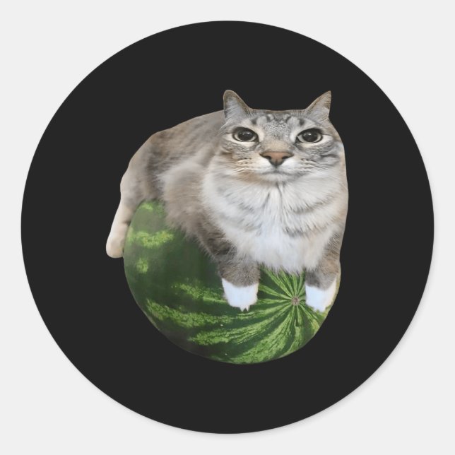 Sticker Rond Watermelon Cat Silly Cat Meme (Devant)