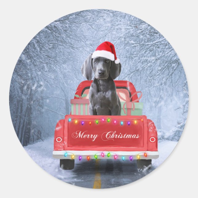 Sticker Rond Weimaraner Chien en neige assis sur le camion de N (Devant)