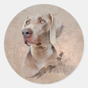 Sticker Rond Weimaraner Poster Canvas Imprimer Tapisserie Acryl