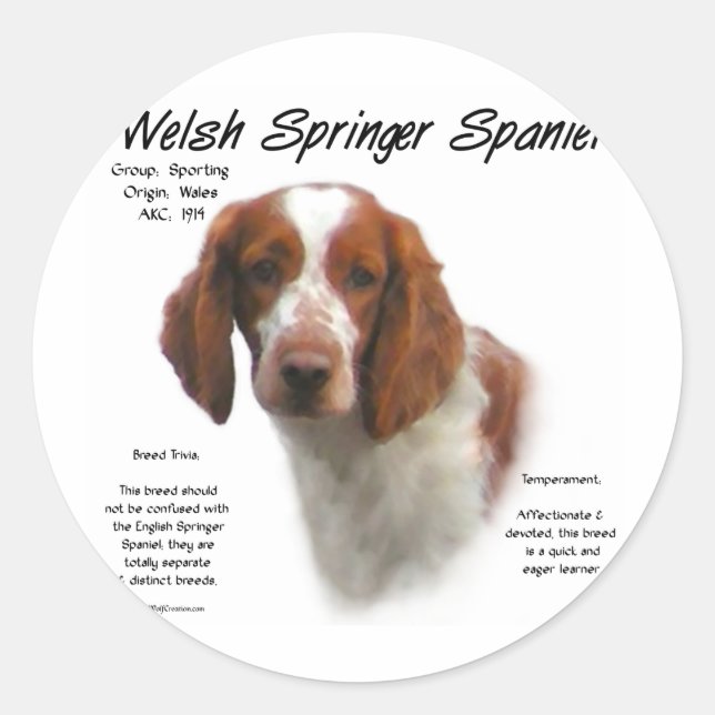 Sticker Rond Welsh Springer espagnol histoire design (Devant)