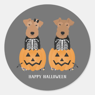 Sticker Rond Welsh Terrier Halloween Skeleton