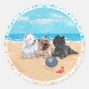 Sticker Rond Westie avec Cairn Terriers à la plage