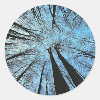 Sticker Rond Whispers of the Whisper Forest