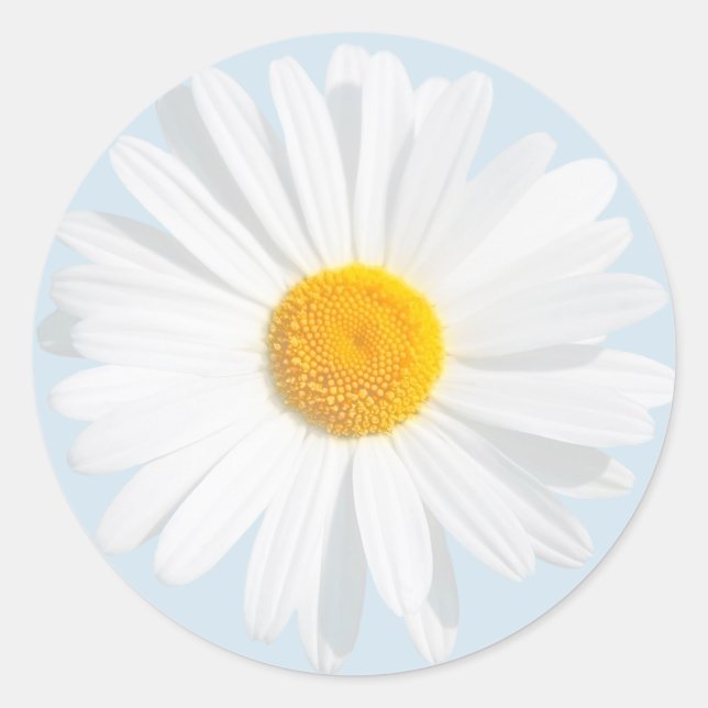 Sticker Rond White (Devant)