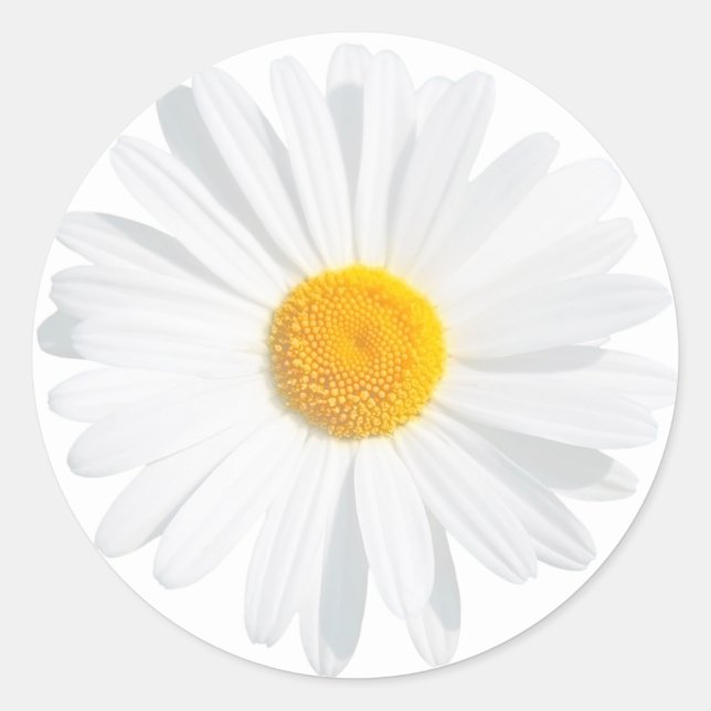 Sticker Rond White (Devant)