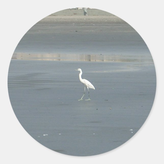 Sticker Rond White Bird on Grey Sand Beach Art Imprimer (Devant)