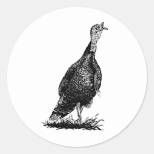 Sticker Rond Wild Turkey