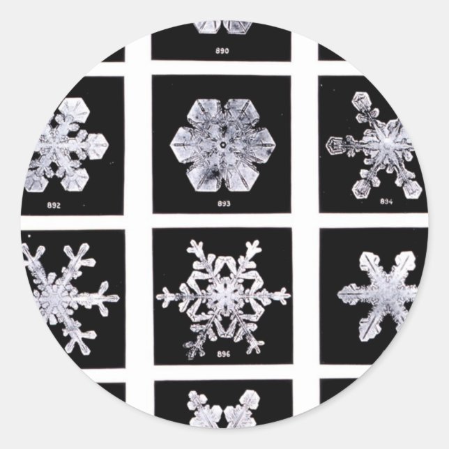 Sticker Rond Wilson Bentley Snowflakes (Devant)