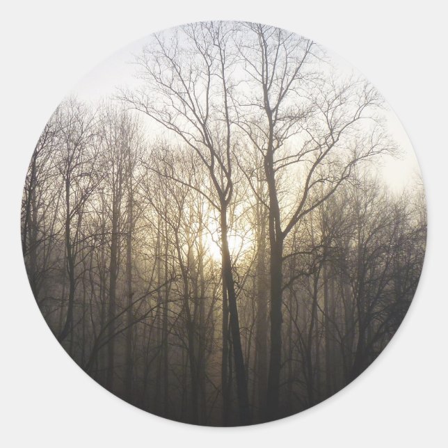 Sticker Rond Winter Fog Sunrise Nature Photographie (Devant)