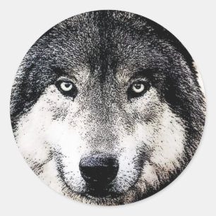 Sticker Rond Wolf Eyes