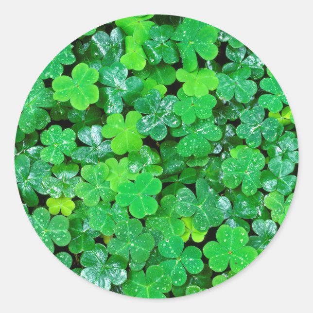 Sticker Rond Wood Sorrel (Devant)